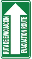 SEÑALETICA 183 RUTA DE EVAC/EVAC ROUTE DERECHA
