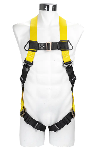 ARNES HAWK GAMMA 411P 1 ARG